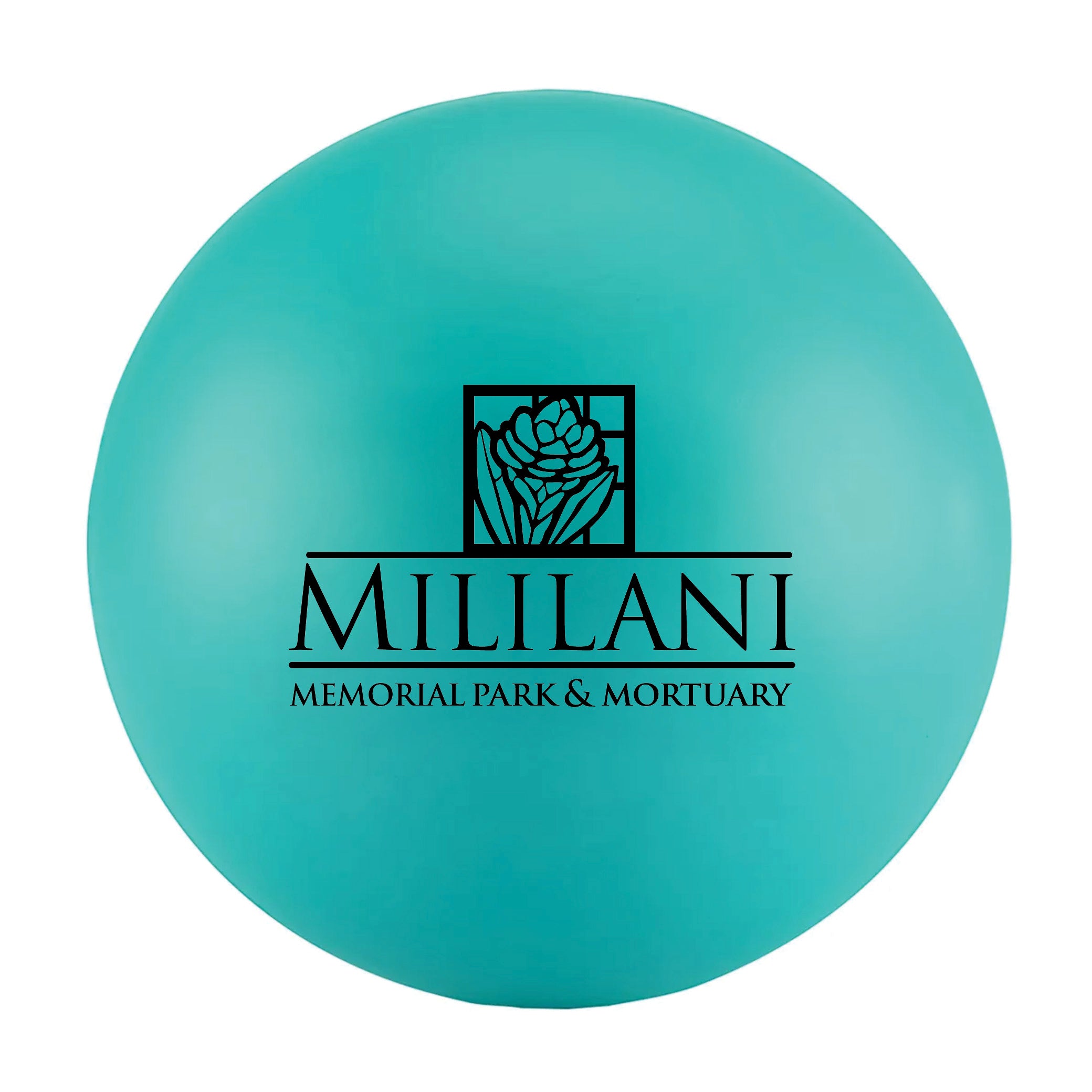 Round Stress Ball Teal