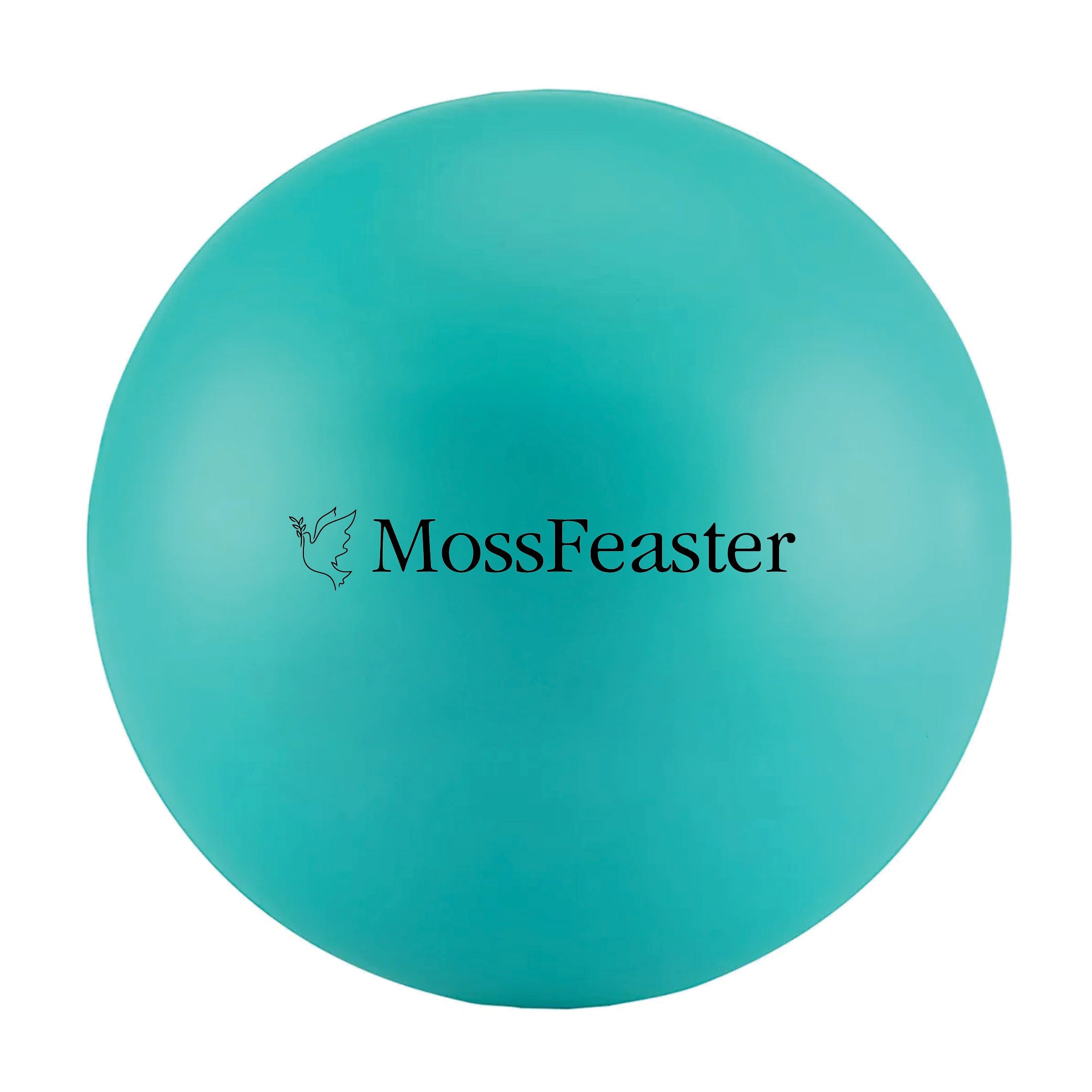 Round Stress Ball Teal